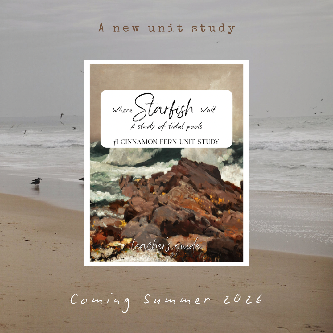 -COMING SOON- Summer Unit Study