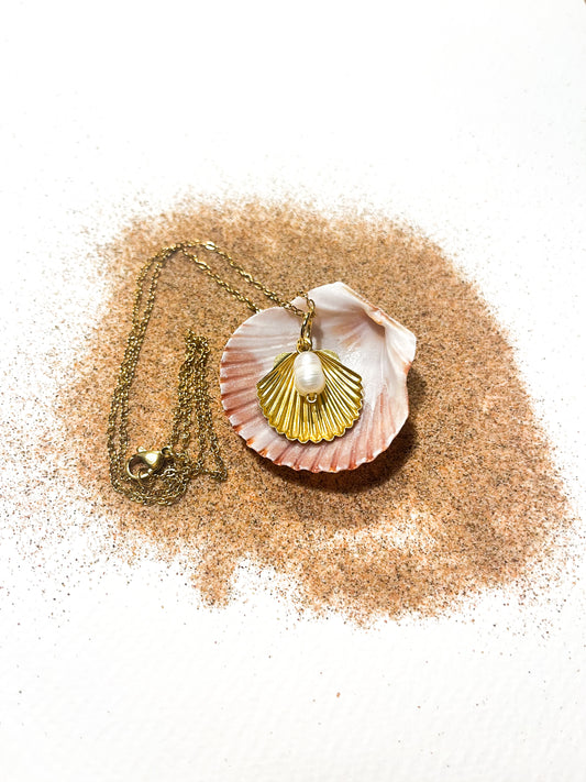 Pearl in Gold Shell Necklace
