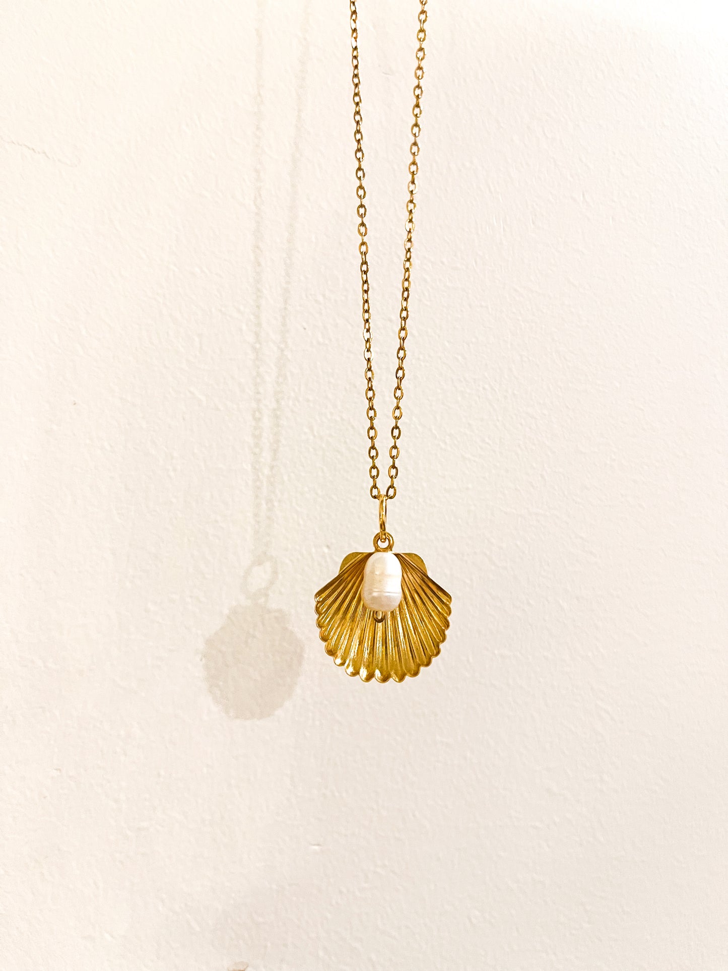 Coastal Clamshell Set