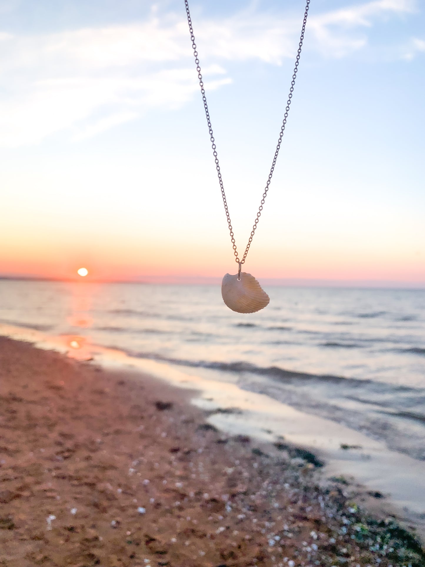 Natural Shell Necklace