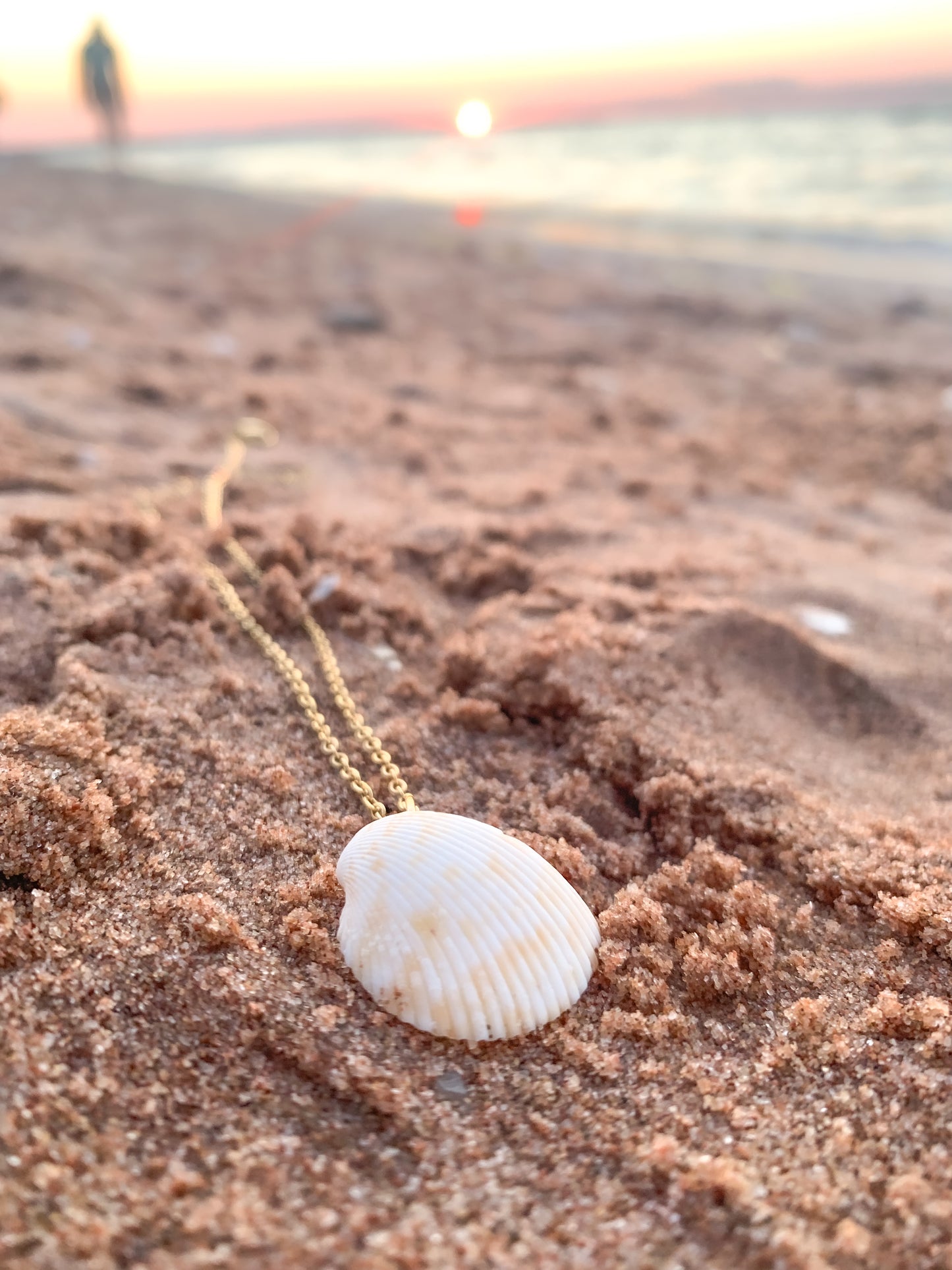 Natural Shell Necklace