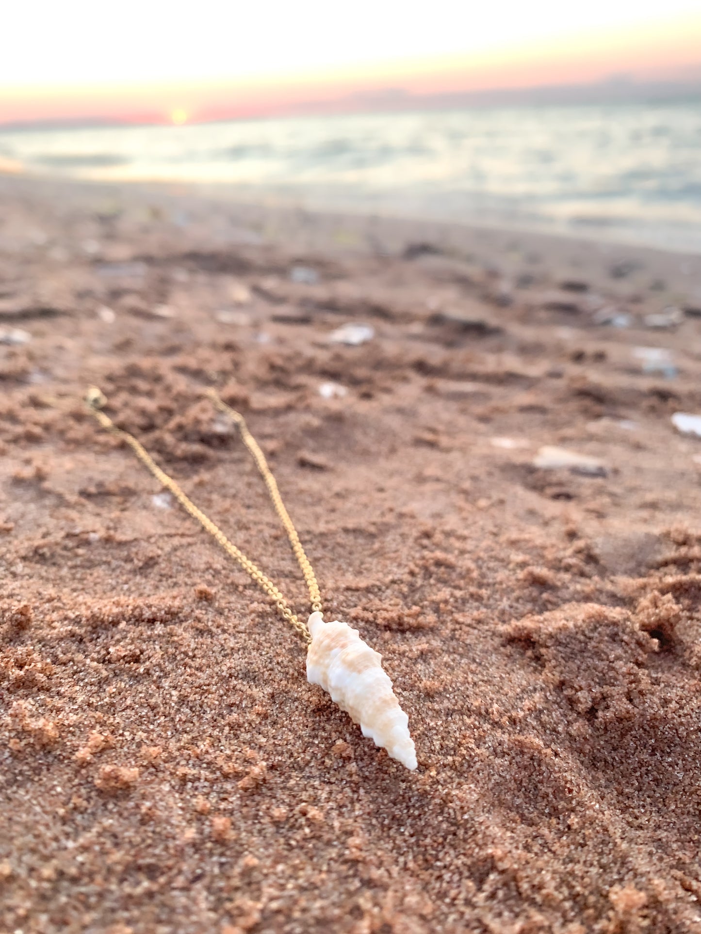 Natural Shell Necklace