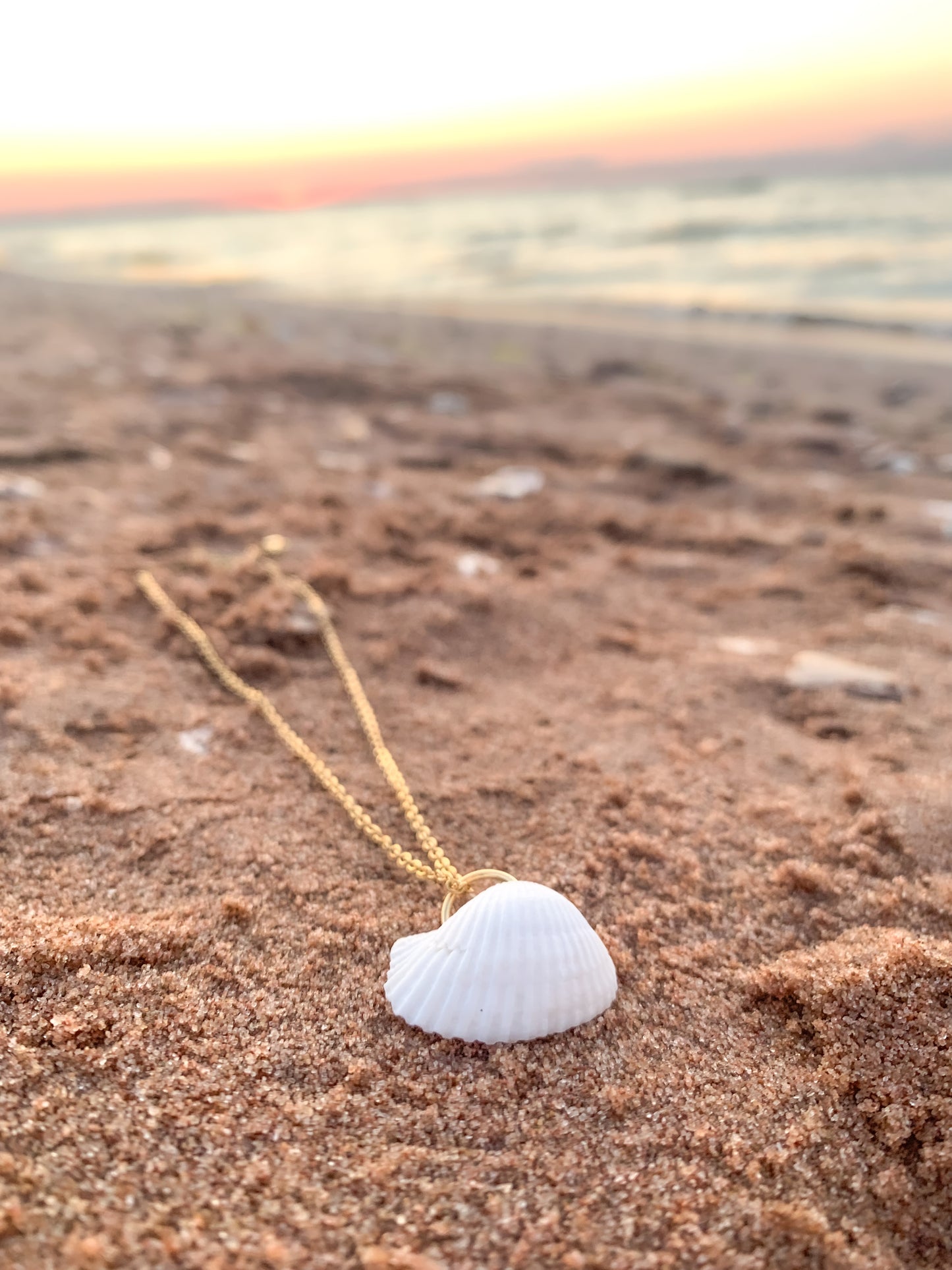 Natural Shell Necklace