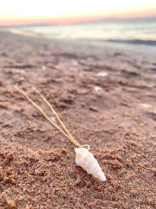 Natural Shell Necklace