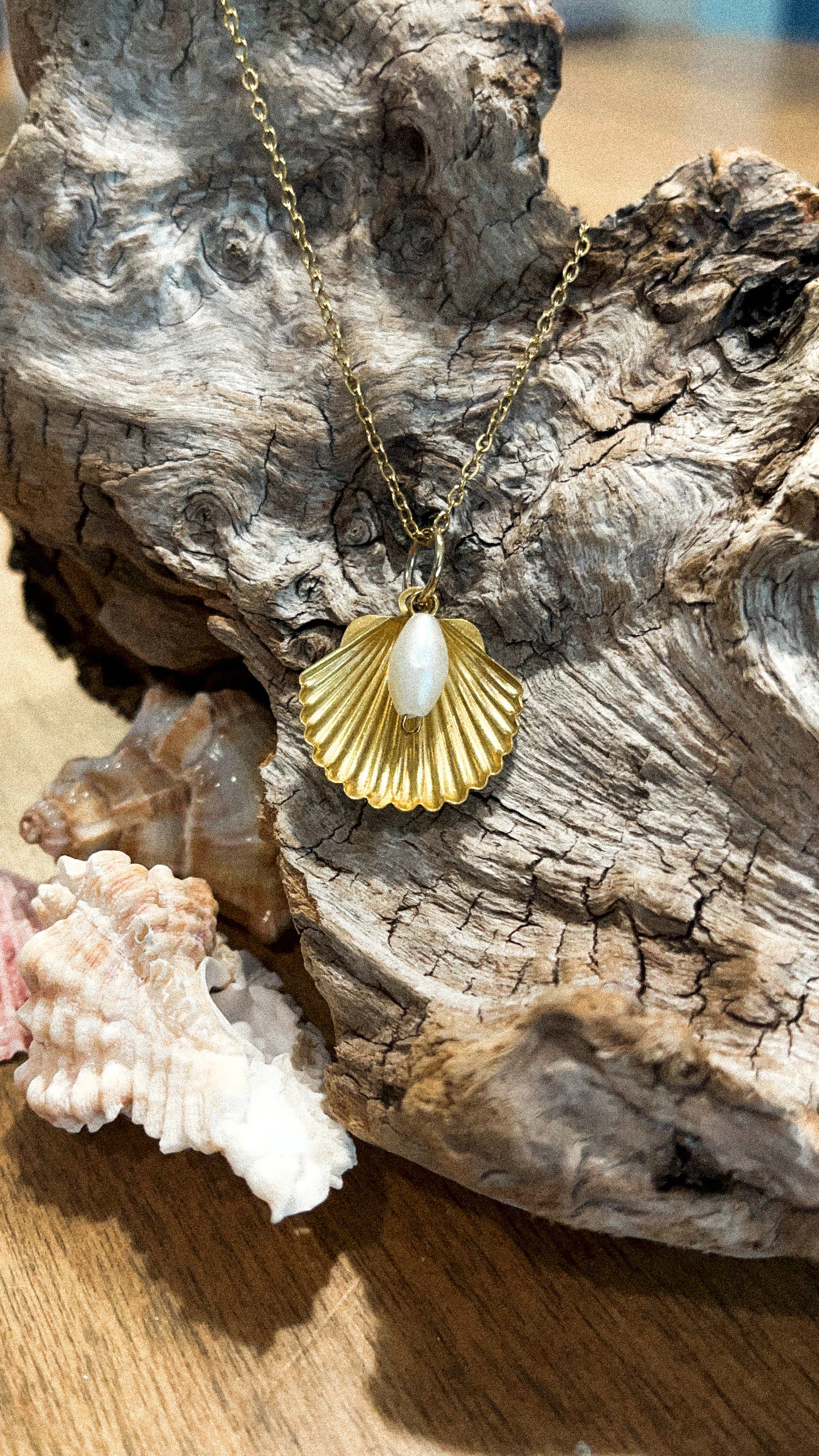 Pearl & Gold Clamshell Necklace