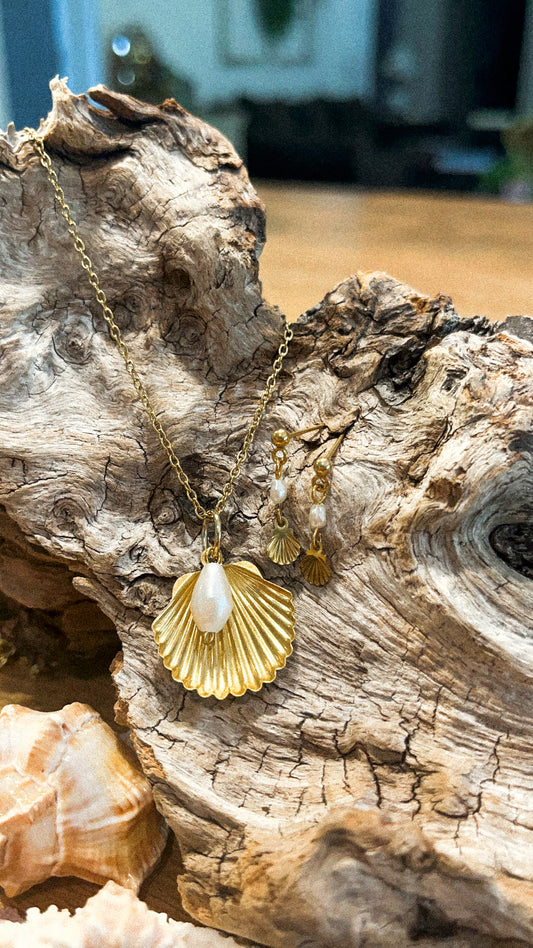 Coastal Clamshell Set