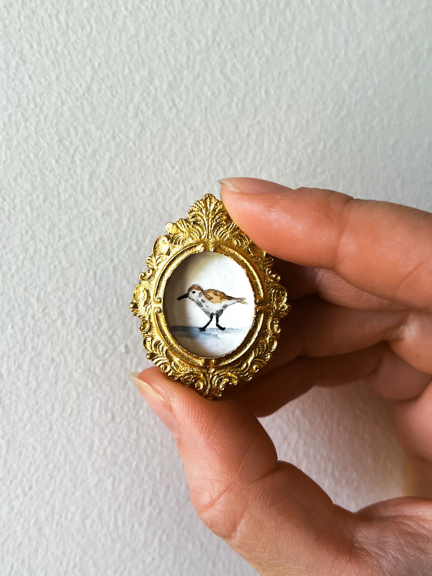 Plover Magnet